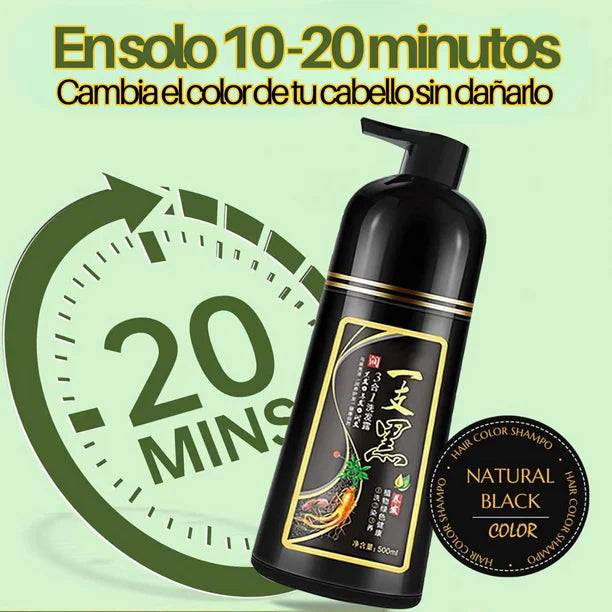 Shampoo Tinte Instantaneo 500M